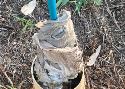 Blue water pipe wrapped in dirty, wet paper towels inside a ground access pipe. - Fosker Plumbing Western Sydney