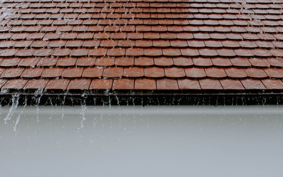 Roof plumbing & gutters